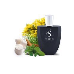 S-035 S-parfum PATCHOULI